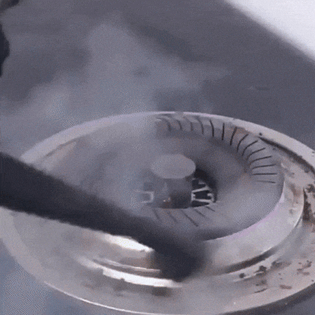 Royallure PowerSteam Handhållen Ångtvättmaskin – Högtemperatur Saneringsånga Carvallo