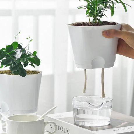 AquaPlanter - Smart Blomkruka och Miniakvarium i Ett Carvallo