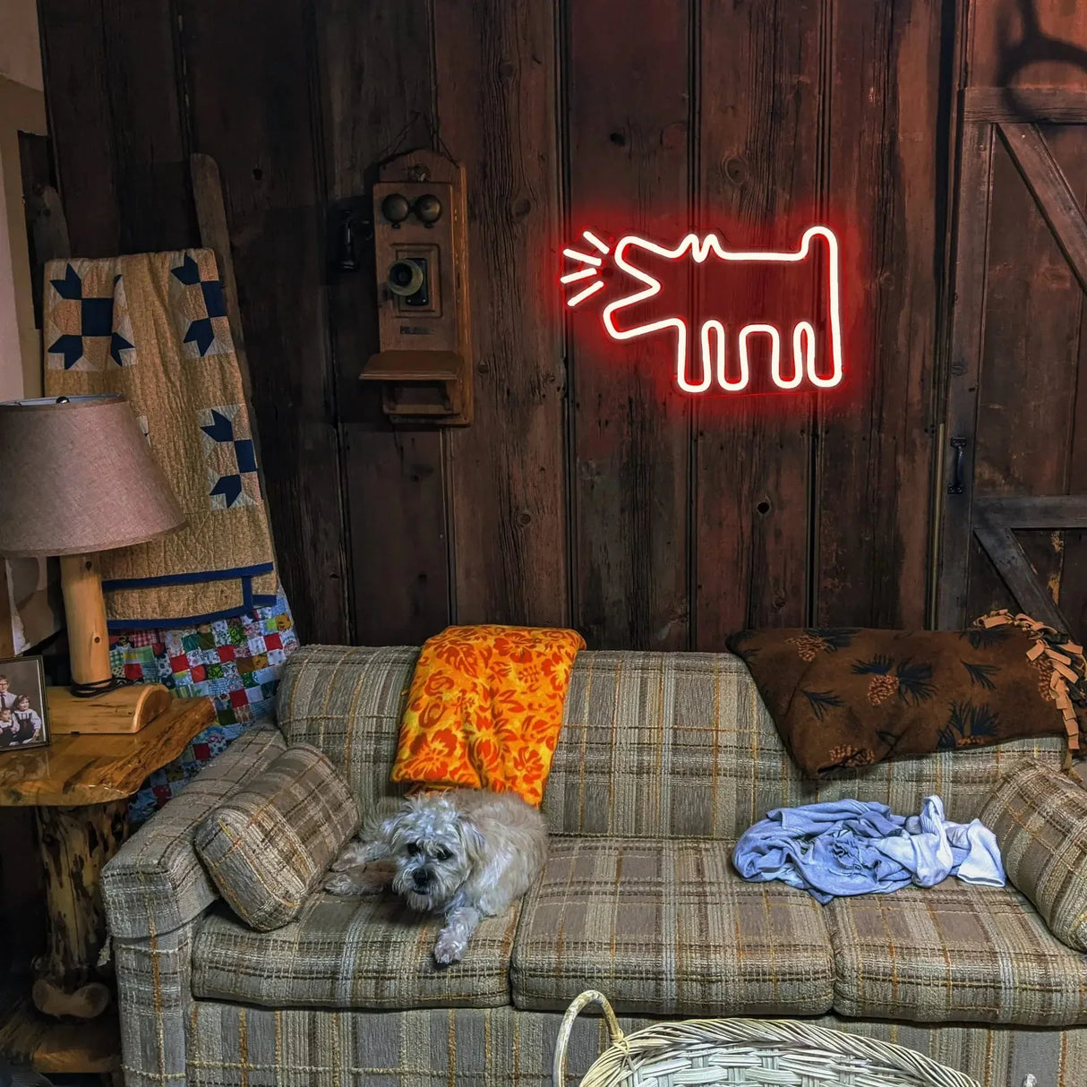 UrbanPaws – Graffiti Hund LED Neon Skylt för Djärv & Trendig Dekor Carvallo