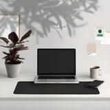 Jordmatta av kolfiberläder för elektroniska apparater och hälsa Carvallo