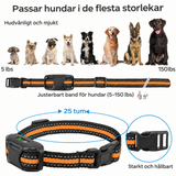 Hundträningshalsband med fjärrkontroll – 1000 m räckvidd