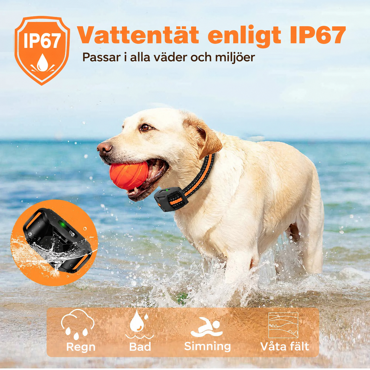 Hundträningshalsband med fjärrkontroll – 1000 m räckvidd