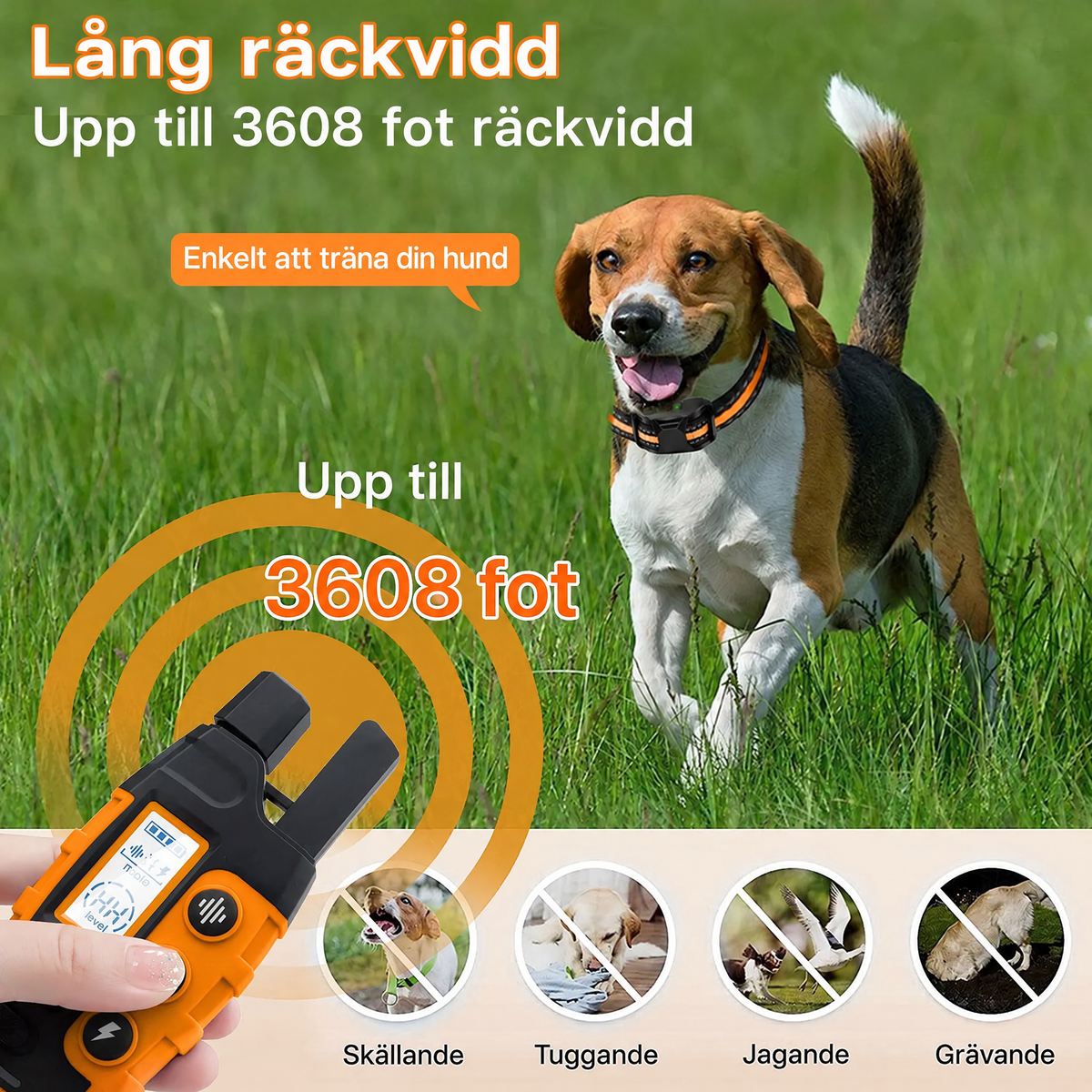 Hundträningshalsband med fjärrkontroll – 1000 m räckvidd