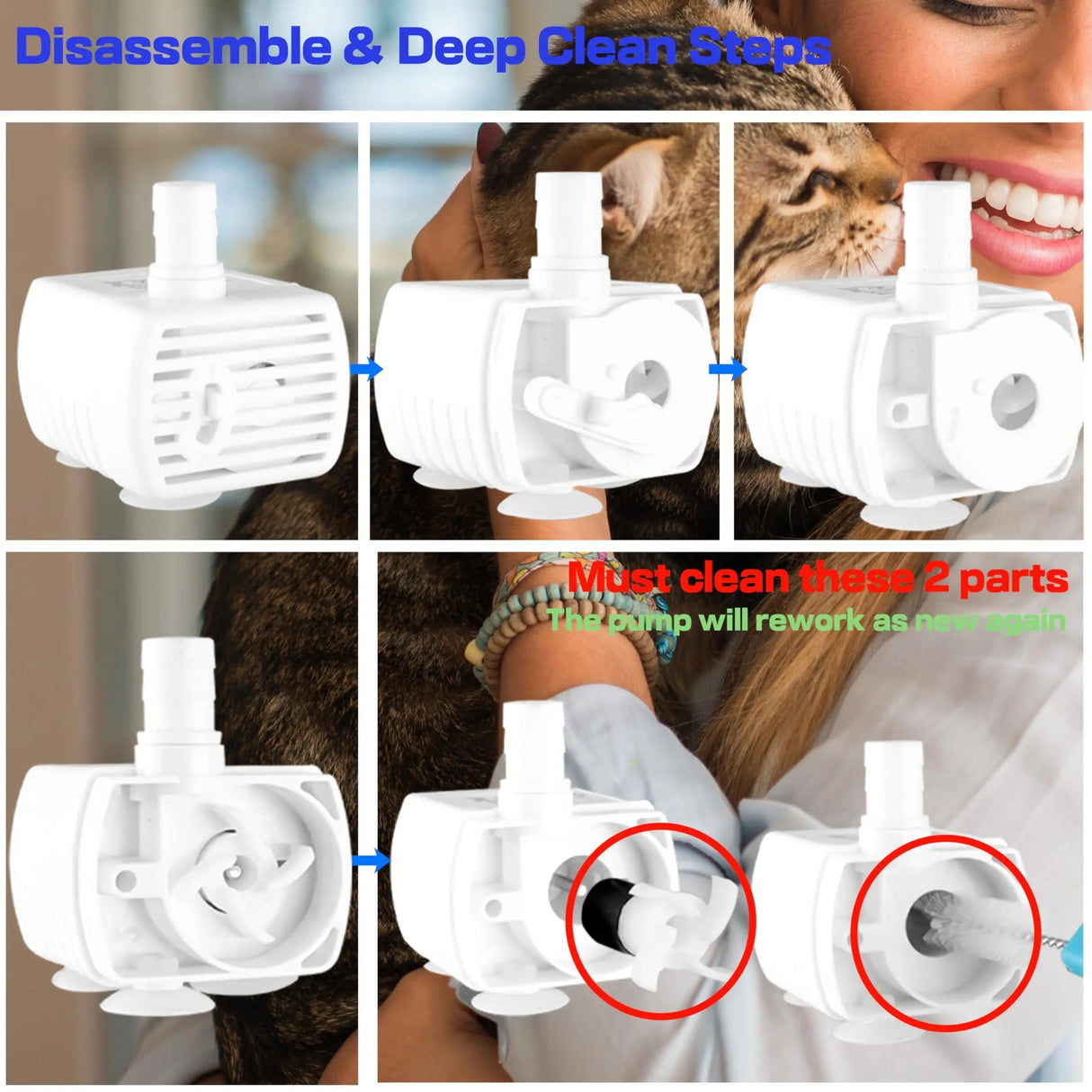 Kattens Vattenfontän Rostfritt Stål Tyst Dispenser Carvallo