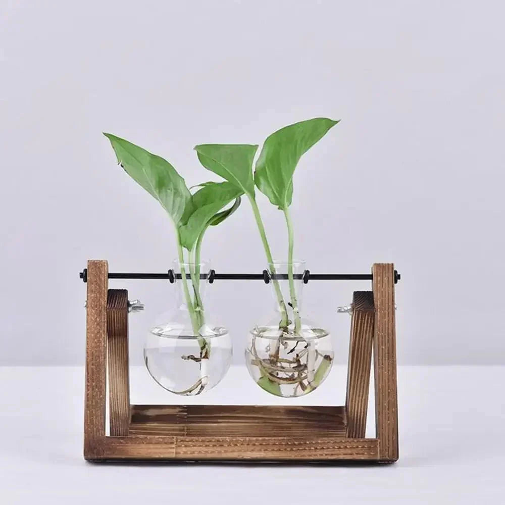 Hydroponisk Glas Terrarium Bordskivan med Träram Carvallo