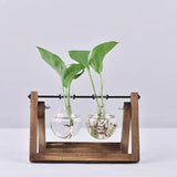 Hydroponisk Glas Terrarium Bordskivan med Träram Carvallo