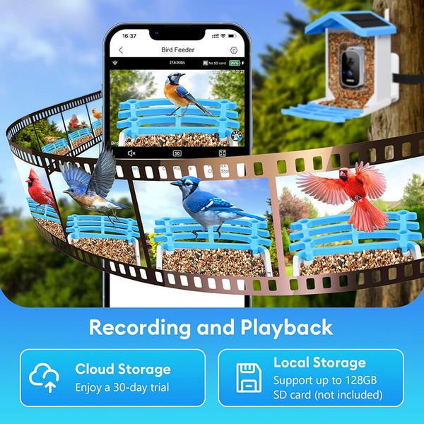 Carvallo med kamera BirdView Pro+ | 2.5K HD & Nattseende | AI-Fågeligenkänning | Sol & USB | IP65 Carvallo