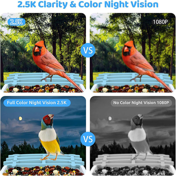 Carvallo med kamera BirdView Pro+ | 2.5K HD & Nattseende | AI-Fågeligenkänning | Sol & USB | IP65 Carvallo
