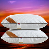 Kudde Hotellkvalitet Tvättbar Fast Stöd Carvallo