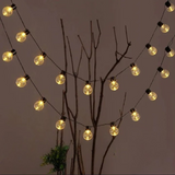 Soliga utomhus festoon ljusslingor - Varm vit glöd för trädgårdar och altaner Carvallo