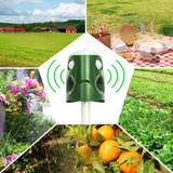 Katt- och djuravskräckare solenergi utomhusavskräckare Carvallo