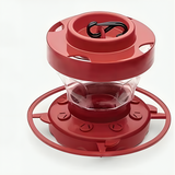 Fågelmatare med hängande myggfri design Carvallo