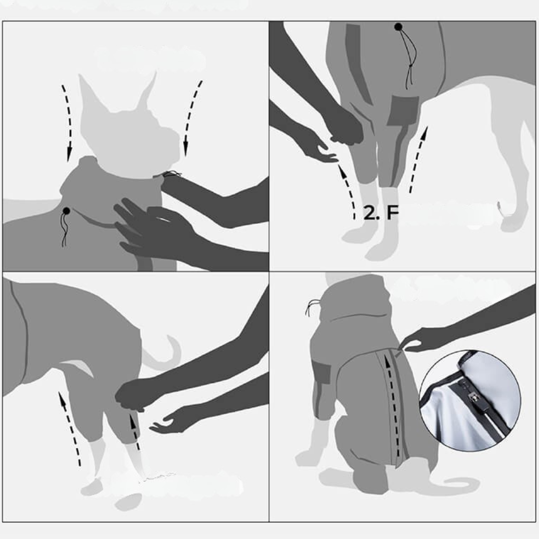 Hund Regnrock Vattentät Reflekterande Allvädersdräkt Carvallo