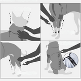 Hund Regnrock Vattentät Reflekterande Allvädersdräkt Carvallo