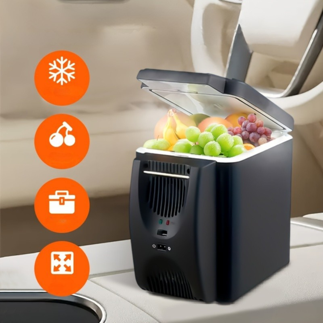 Bärbar Mini Kyl med Stort Utrymme Carvallo