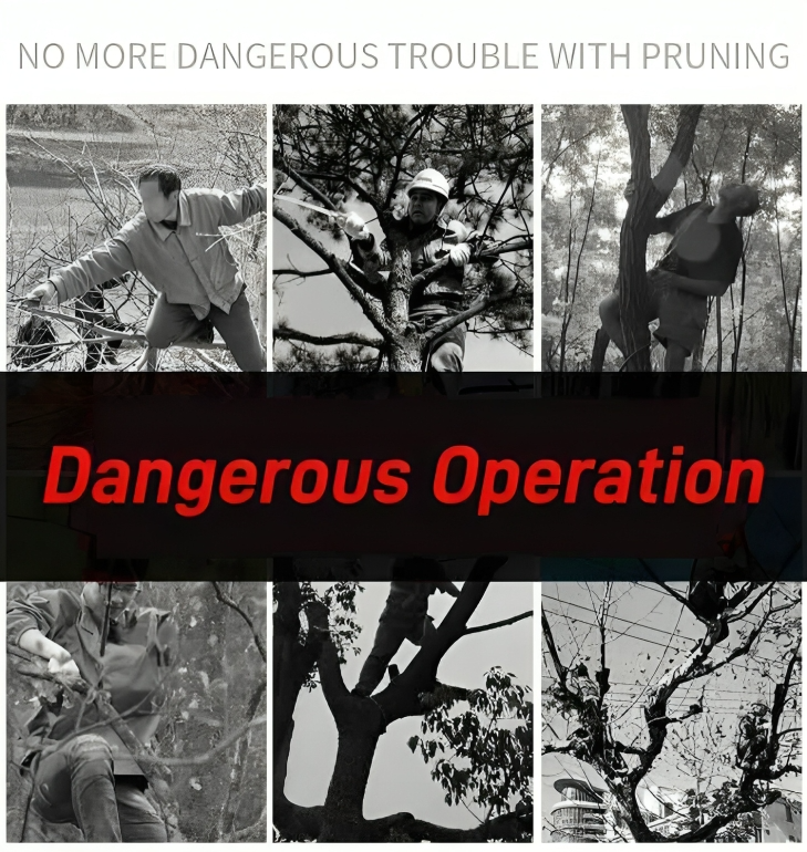 Carvallo - Safe cutting of high branches from the ground! Carvallo