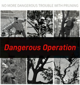 Carvallo - Safe cutting of high branches from the ground! Carvallo