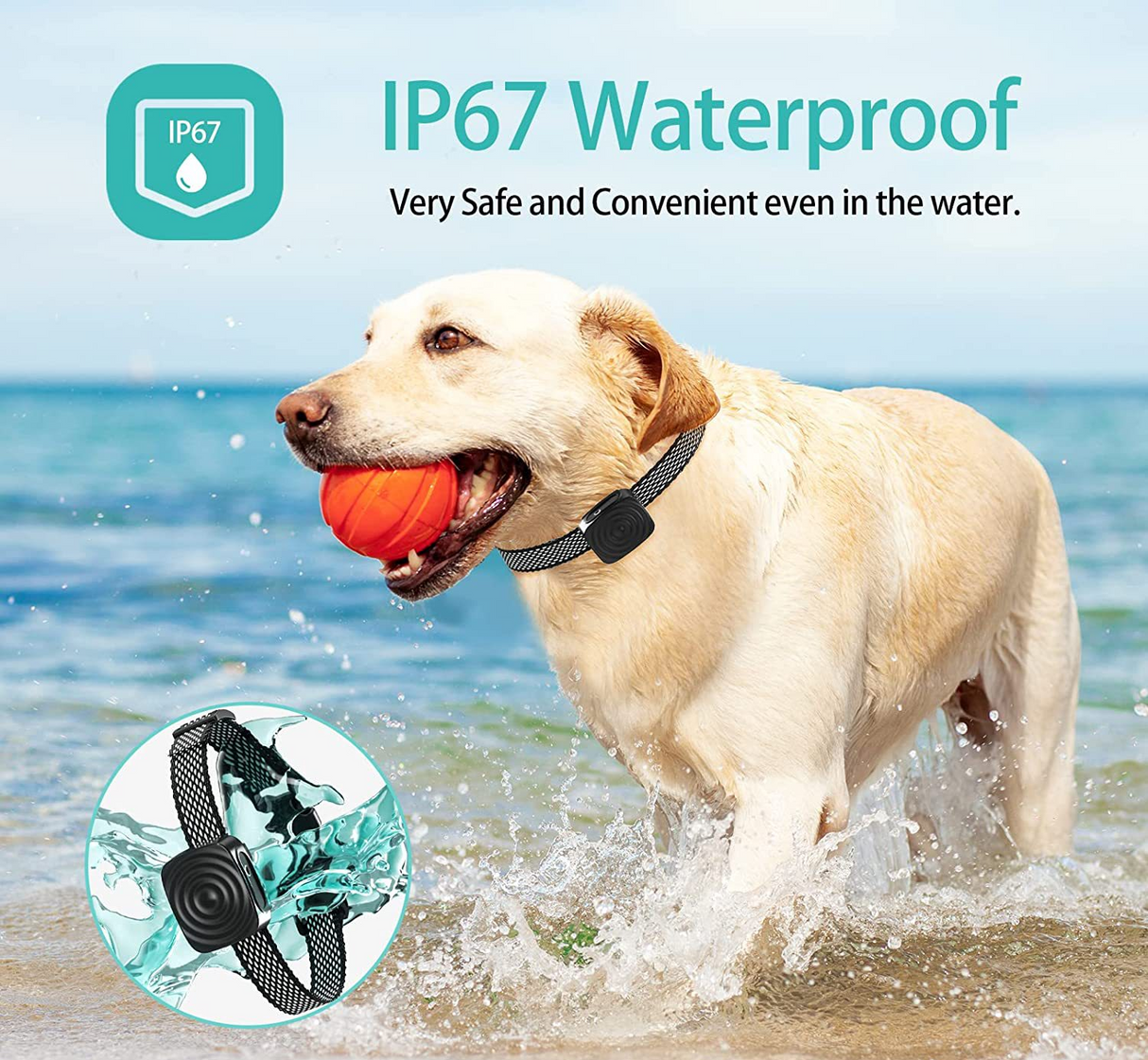 Hundhalsband Anti Skäll för Små Hundar Carvallo