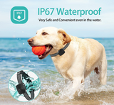 Hundhalsband Anti Skäll för Små Hundar Carvallo