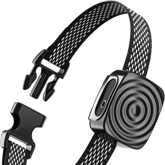 Hundhalsband Anti Skäll för Små Hundar Carvallo