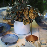 LuxeGlow Snörlös Elegans Lampa Carvallo