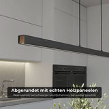 Calimera Designer Hänglampa Carvallo