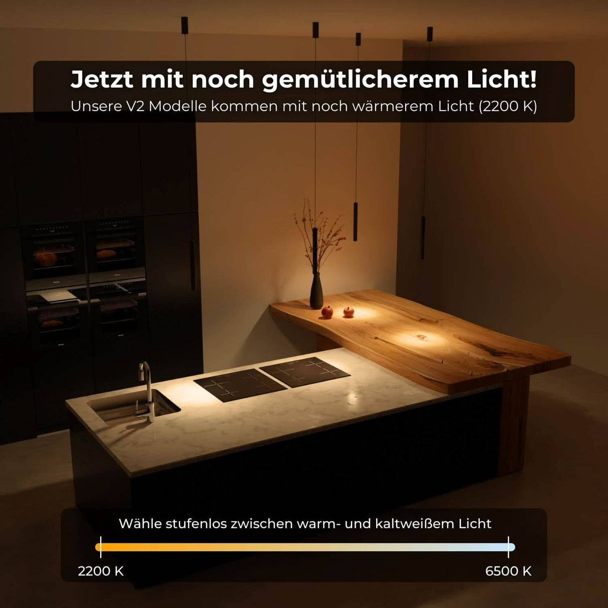 Hovaro Designer Taklampa Carvallo