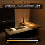 Hovaro Designer Taklampa Carvallo