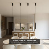 Hovaro Designer Taklampa Carvallo