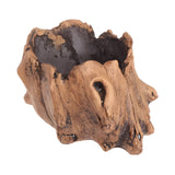 BloomCrest Kruka - Sukulenter Bonsai Dekorationsväxtplanter Carvallo