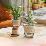 HydroGlow Kruka - 2-pack Självvattnande Bordsväxtkrukor Carvallo