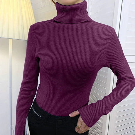 Kashmir Turtleneck Sweater för kvinnor-Hemnix-Lila-En storlek-Hemnix