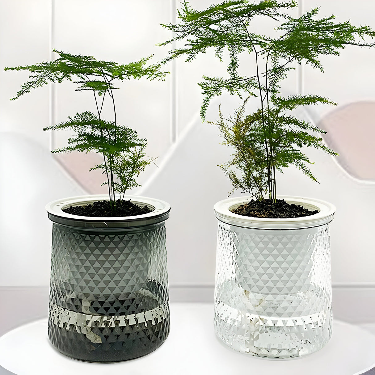 HyggeSprout Kruka – Hydroponisk Kristall-Glas-Blomkruka Carvallo