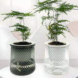 HyggeSprout Kruka – Hydroponisk Kristall-Glas-Blomkruka Carvallo