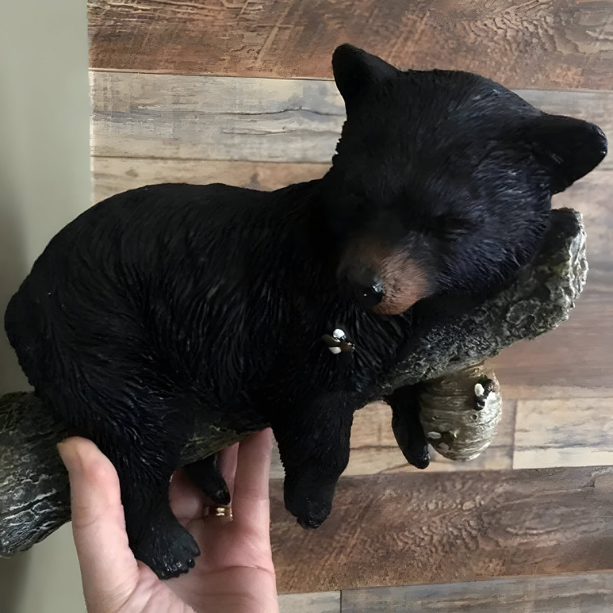 BearWhisper Skulptur – Vägghängd Björn Sovande Trädgårdsstaty Carvallo