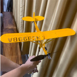 Flygplansvindflöjel med montering Carvallo