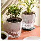 HydroGlow Kruka - 2-pack Självvattnande Bordsväxtkrukor Carvallo