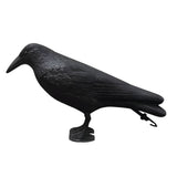 CrowHawk Decoration - Dekorativ svart kråka skadedjursavskräckning Carvallo