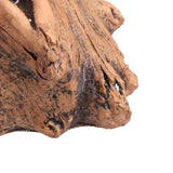 BloomCrest Kruka - Sukulenter Bonsai Dekorationsväxtplanter Carvallo