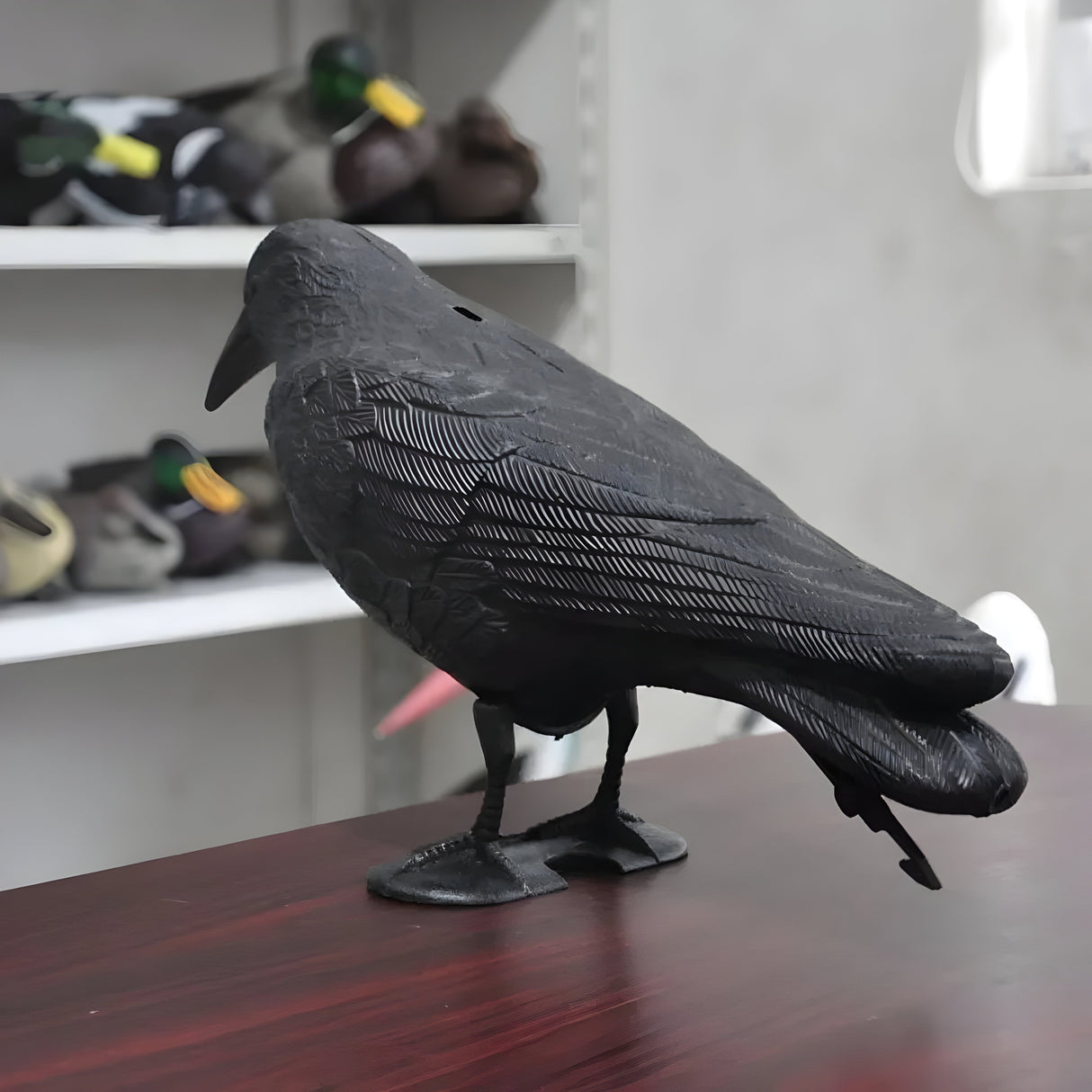 CrowHawk Decoration - Dekorativ svart kråka skadedjursavskräckning Carvallo