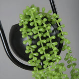 BotanicAura Light – Nordisk LED-hängande lampa med blomkruka Carvallo