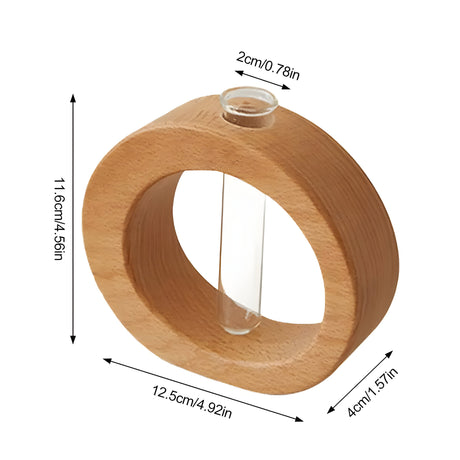 Carvallo – Elegant dekorativ vas för hydroponiska växter och blommor Carvallo
