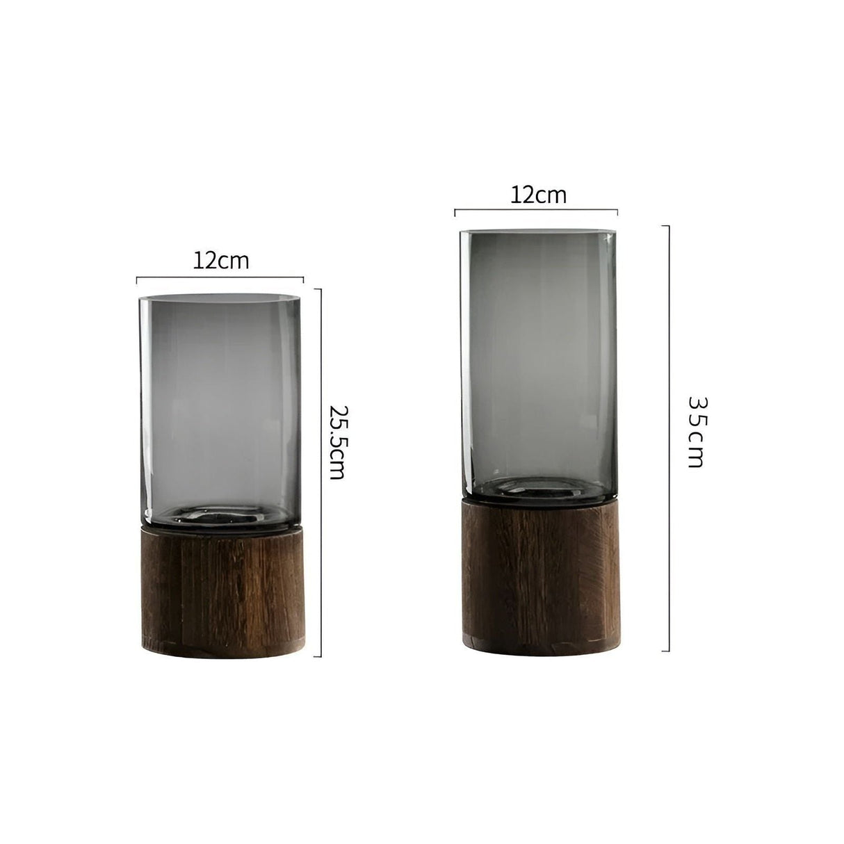 HydroGlass Vas - Europeiskt trä-transparent glas vas Carvallo