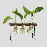 GlassRoot Vas - Träram Hydroponisk Växtbehållare med Glaskula Carvallo