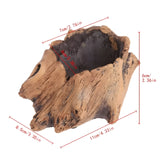 BloomCrest Kruka - Sukulenter Bonsai Dekorationsväxtplanter Carvallo