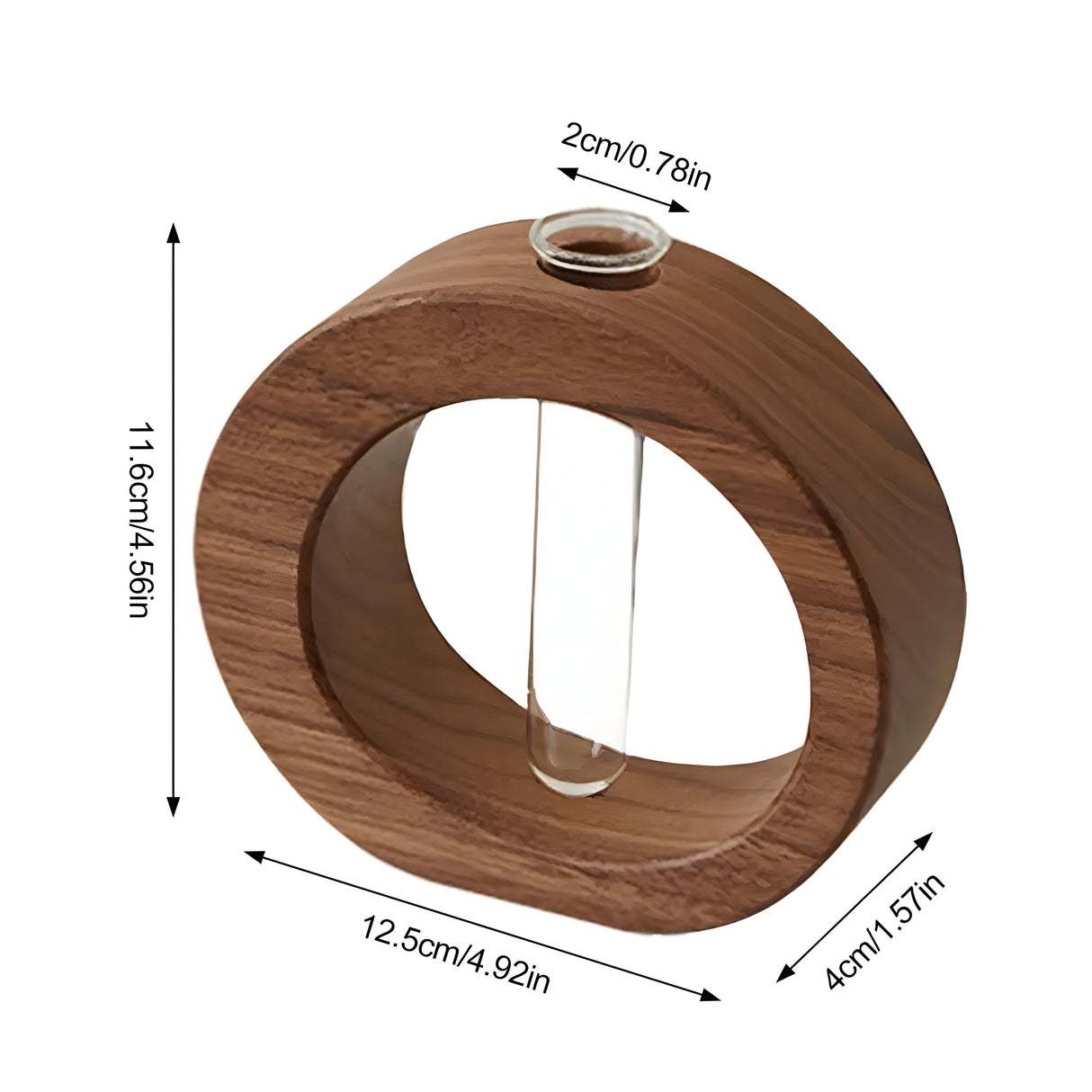 Carvallo – Elegant dekorativ vas för hydroponiska växter och blommor Carvallo