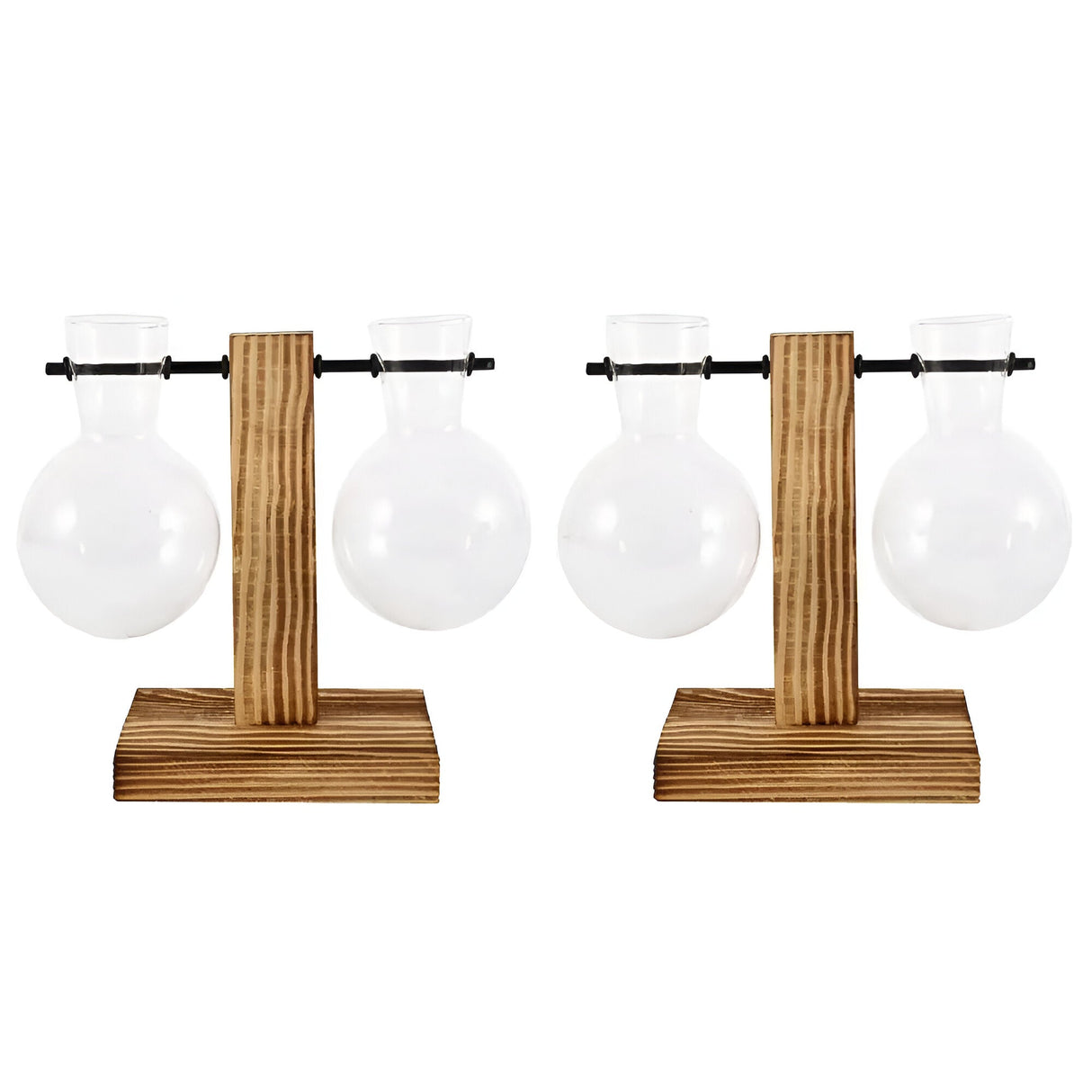 GlassHaven Vase – Hydroponiskt glasbehållare med trästativ Carvallo