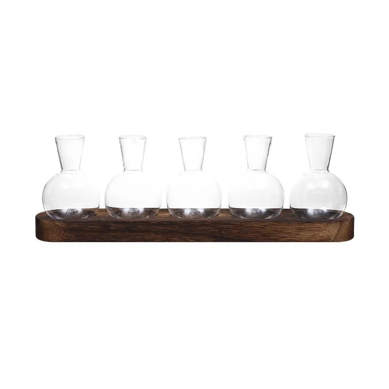 HydroHaven Vase - Elegant Hydroponic Glass Vase Carvallo