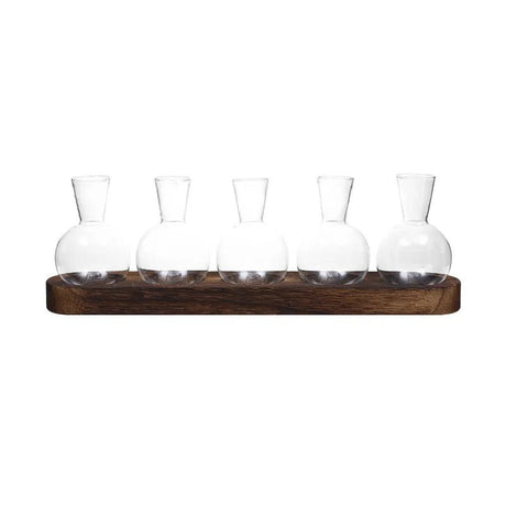 HydroHaven Vase - Elegant Hydroponic Glass Vase Carvallo