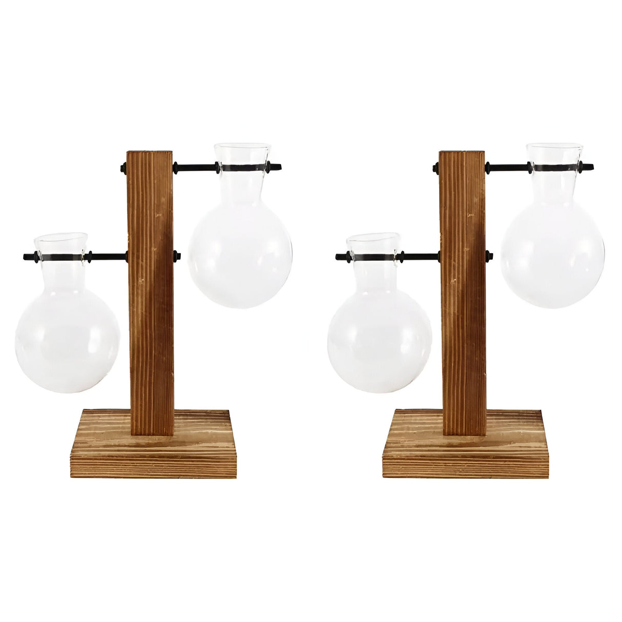 GlassHaven Vase – Hydroponiskt glasbehållare med trästativ Carvallo